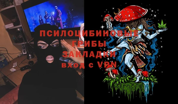 сатива Алексин