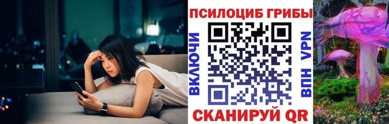Псилоцибиновые грибы Cubensis  OMG вход  Сельцо 